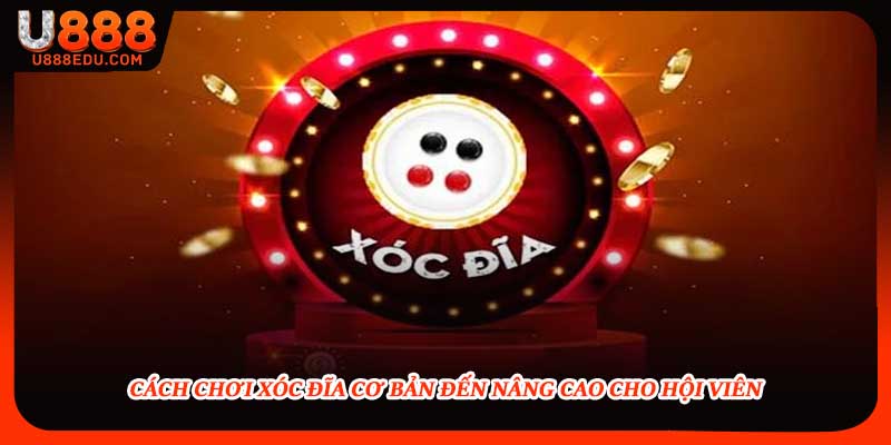 Cách Chơi Xóc Đĩa Cơ Bản Đến Nâng Cao Cho Hội Viên