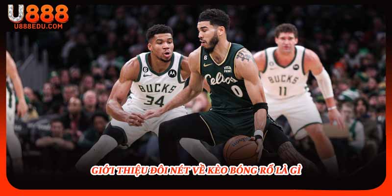 Giới thiệu đôi nét về kèo bóng rổ là gì