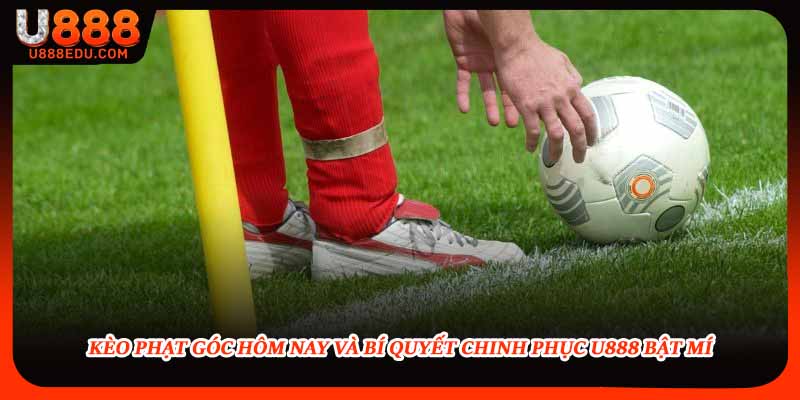 Thành viên trang bị kinh nghiệm soi kèo châu Á chuẩn