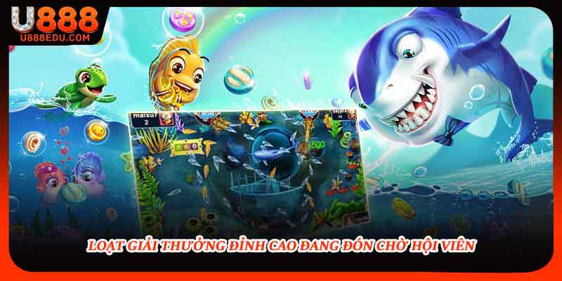 Loạt giải thưởng đỉnh cao đang đón chờ hội viên